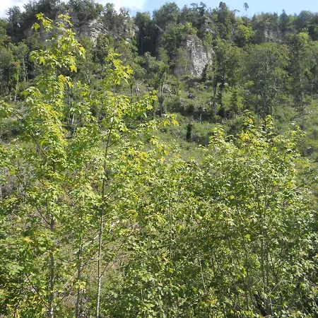 Lehmann Apartman Pirna