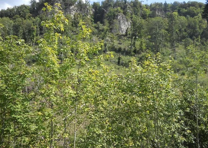 Lehmann Apartamento Pirna